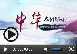 中华孝善模范村宣传视频