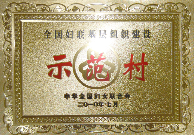 全国妇联基层组织建设示范村